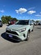 2023 Toyota RAV4 XLE AWD (Natl)